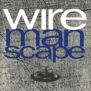 Download track What Do You See? Wire