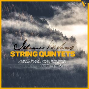 Download track String Quintet No. 1 In F Major, Op. 88 