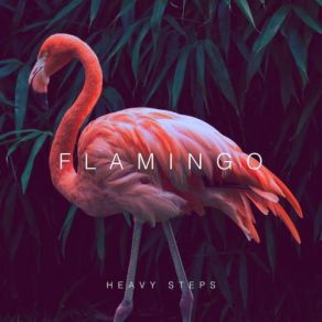 Download track I Know (Original Mix) Flamingo