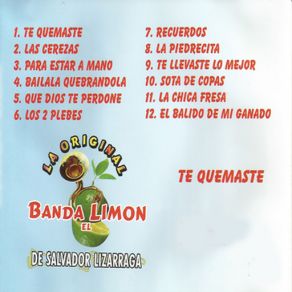 Download track Te Llevaste Lo Mejor Banda El Limon