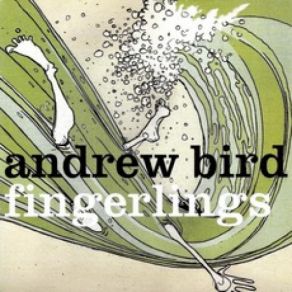 Download track T'n'T Andrew Bird