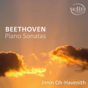 Download track 05 - Piano Sonata No. 30 In E Major, Op. 109- II. Prestissimo Ludwig Van Beethoven