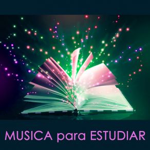 Download track Mujsica Para Trabajar Musica Para Estudiar Specialistas
