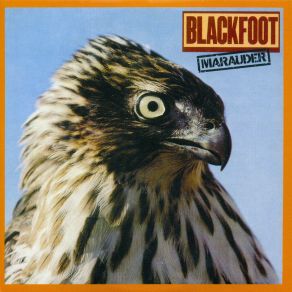 Download track Good Morning Blackfoot
