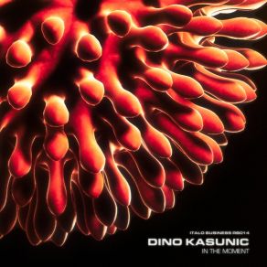 Download track Moment # 2 Dino Kasunic