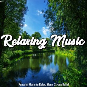 Download track Peaceful Relaxing Stress Relief Relax My Dog Music