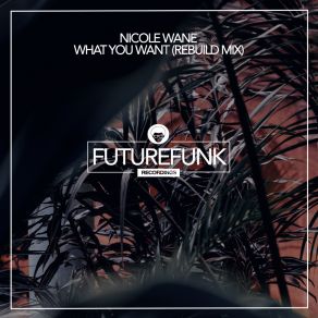 Download track What You Want (Rebuild Dub Mix) Nicole Wane