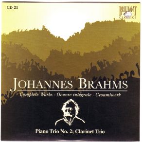 Download track Piano Trio No2 In C Major Op. 87 - II. Andante Con Moto Johannes Brahms