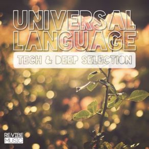 Download track Plarama (Jerome Robins Furbo Mix) Universal LanguageSimon Gain, Joey Seminara