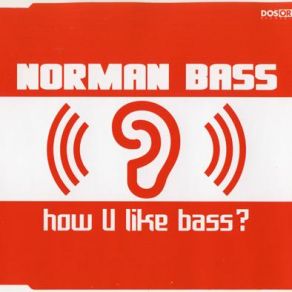 Download track How U Like Bass? (Warp Brothers Single Mix) Norman Bass