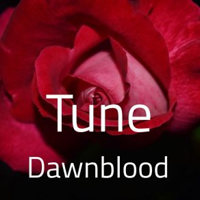 Download track The Action Dawnblood