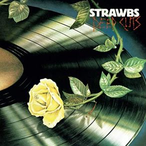 Download track Simple Visions (2019 Remaster) Strawbs