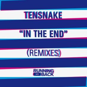 Download track Holding Back (My Love) (DJ Oyster Mix) Tensnake
