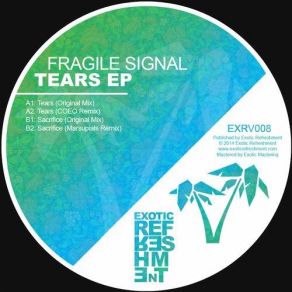 Download track Tears (Original Mix) Fragile Signal