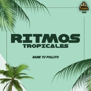 Download track Pagaras Ritmos Tropicales