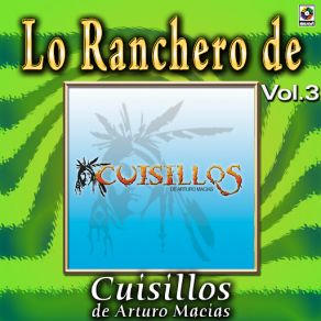 Download track Adios Amor Cuisillos De Arturo Macias