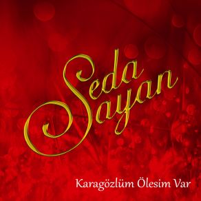 Download track Karagözlüm Ölesim Var Seda Sayan
