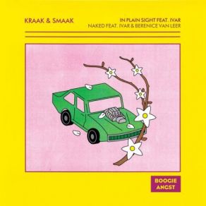 Download track In Plain Sight Kraak & Smaak