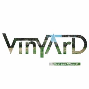Download track Don't Get Lost Vinyard