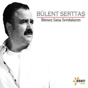 Download track Ömrümü Yedin Zalim Bülent Serttaş