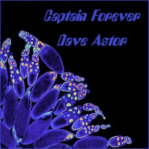 Download track My Captain David Astor