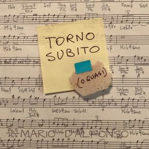 Download track Bugiardo Amore Mio Mario D'Alfonso