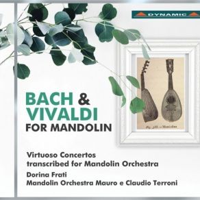 Download track 11. Concerto In B Minor For Four Violins Cello String And Harpsichord RV 580: II. Largo - Larghetto Dorina Frati, Mandolin Orchestra Mauro E Claudio Terroni