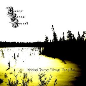 Download track Aurora Borealis Beyond Ancient Boreal Forest