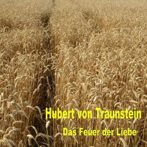 Download track Glueck Ist Nicht Fuer Die Ewigkeit Hubert Von Traunstein