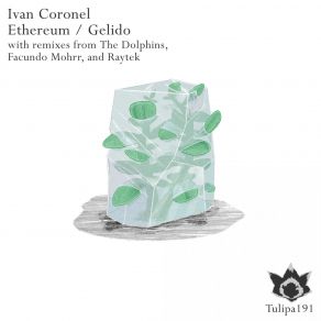 Download track Ethereum (Original Mix) Ivan Coronel