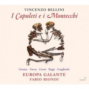 Download track 01-16 Vivica Genaux - Ah Crudel Vincenzo Bellini