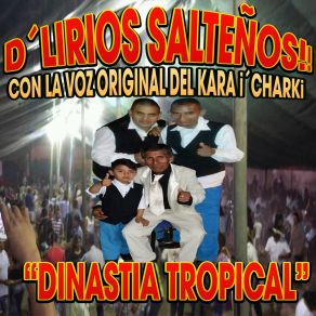 Download track Amor Divino D Lirios Salteños