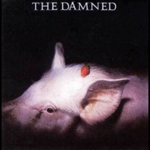 Download track The Dog The Damned