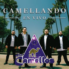 Download track Quien Tiene La Culpa (En Vivo) Los Camellos