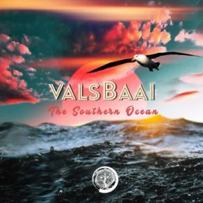 Download track Albatross (Original Mix) Valsbaai