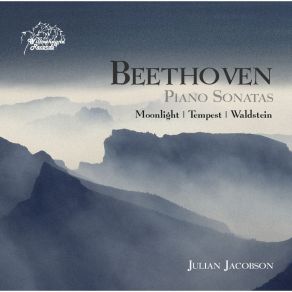 Download track 02 - Piano Sonata No. 14 In C Sharp Minor, Op. 27 No. 2 Moonlight - II. Allegretto Ludwig Van Beethoven