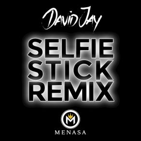 Download track Selfie Stick (Remix II) David Jay