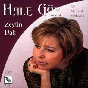Download track Bodrum Hakimi Hale Gür