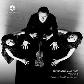 Download track 01. Piano Trio In C Minor, Op. 1 No. 3- I. Allegro Con Brio Ludwig Van Beethoven