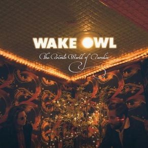 Download track Vacation Wake Owl