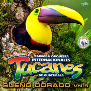 Download track Cumbias Tucaneras 9: Mentirosa / Escándalo / Scooby Doo Pa Pa Marimba Orquesta Internacionales Tucanes De Guatemala