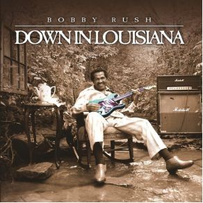Download track Raining In My Heart Bobby Rush