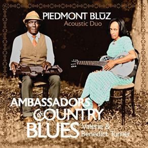 Download track Last Kind Words Piedmont Bluz