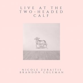 Download track Kansas City (Live) Nicole Zuraitis
