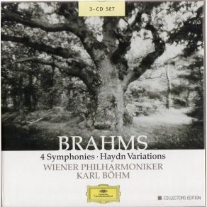 Download track Symphony No. 3 In F Major, Op. 90 - I. Allegro Con Brio Johannes Brahms
