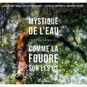Download track Comme La Foudre Sur Les Os: VIII. L'enfoui' Le Concert Impromptu, Julien Roux