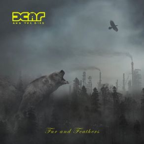 Download track Bear Bear