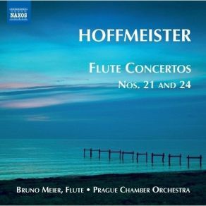 Download track Flute Concerto No. 24 In D Major - III. Rondo: Moderato Franz Anton Hoffmeister