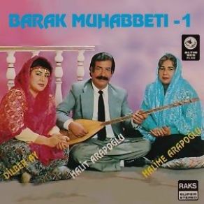 Download track Sanki Şam Yelisin Dilber Ay, Halit Araboğlu, Halime Arapoğlu