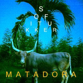 Download track Matadora Sofi Tukker